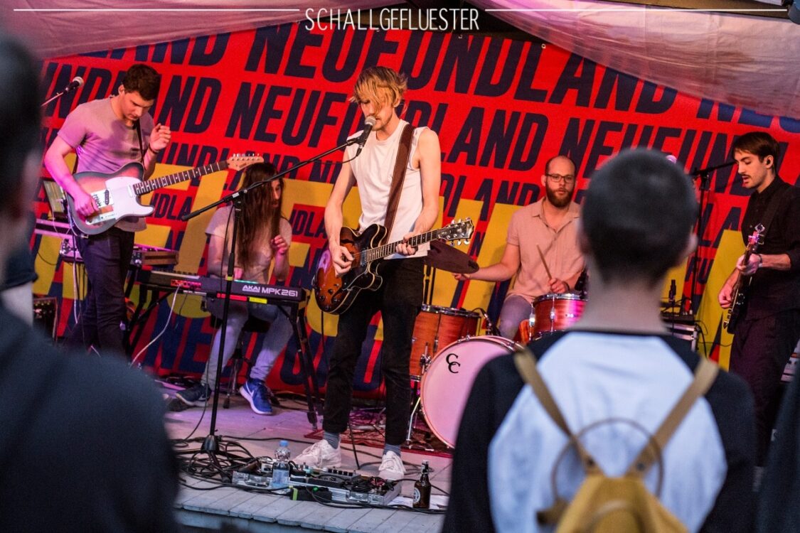 Fotos: Neufundland & Parcours 2017 in Düsseldorf