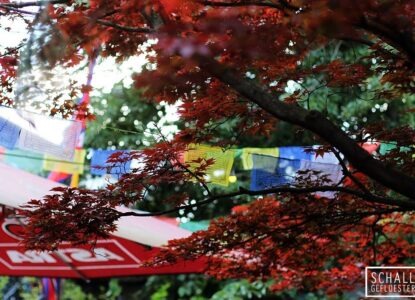 tofu pop festival underground koeln credits schallgefluester christin meyer 6