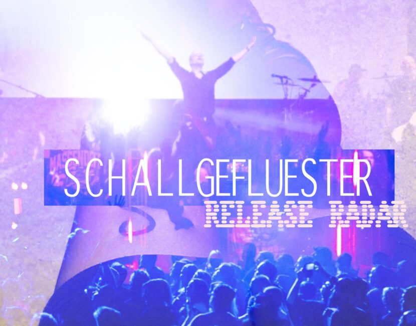 schallgeflueter release radar cover